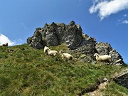 Anello con tris di cime, Avaro, Tribortoi, Ponteranica centr.,e Laghii di Ponteranica dai Piani Avaro il 1 ag.2020- FOTOGALLERY